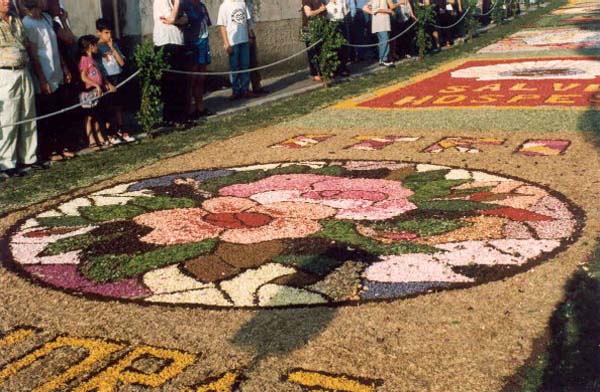 36-Ronciglione_gita_caserta_infiorata_itri