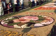 36-Ronciglione_gita_caserta_infiorata_itri