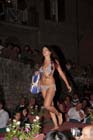 IMG_3520