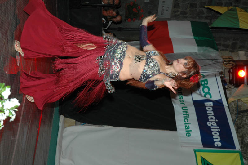 DSC_0520