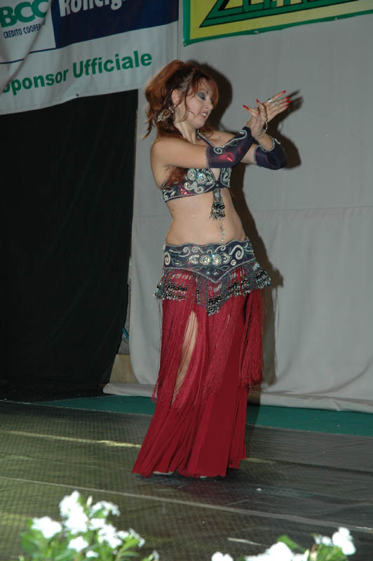 DSC_0529