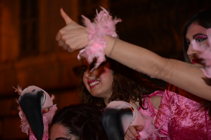 DSC_7503