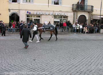 carnevale