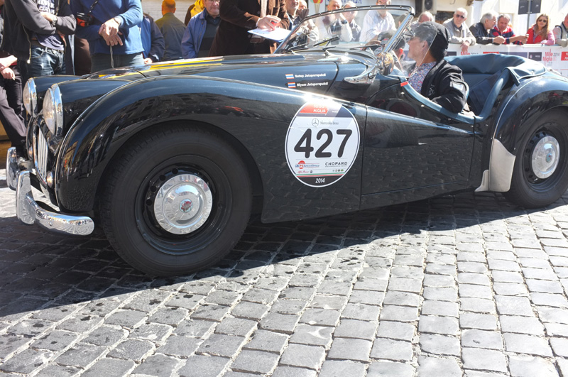 DSCF8480-fatte