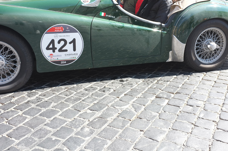 DSCF8480-fatte