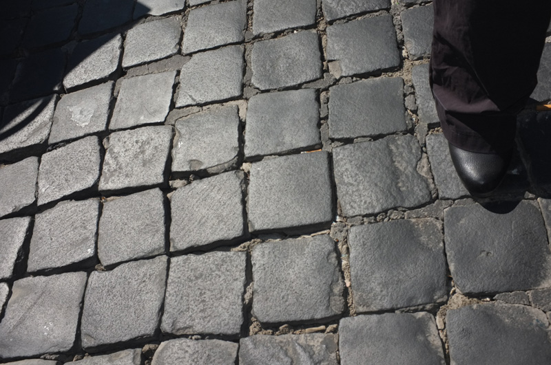 DSCF8480-fatte