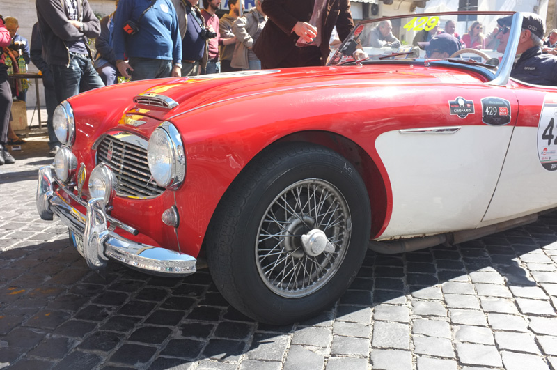 DSCF8480-fatte