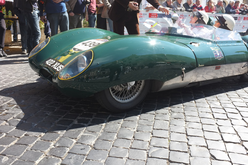 DSCF8480-fatte