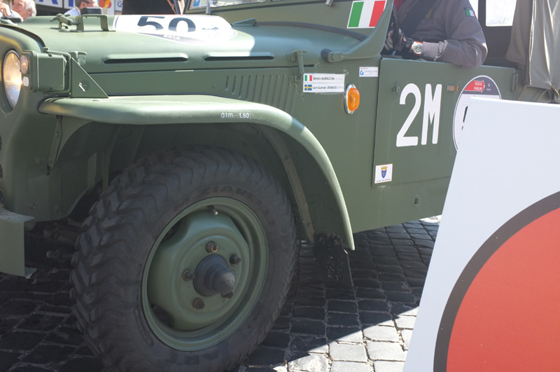 DSCF8480-fatte