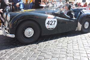 DSCF8480-fatte