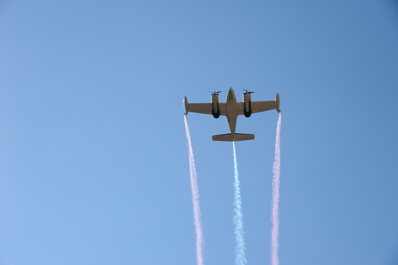 DSC_9958